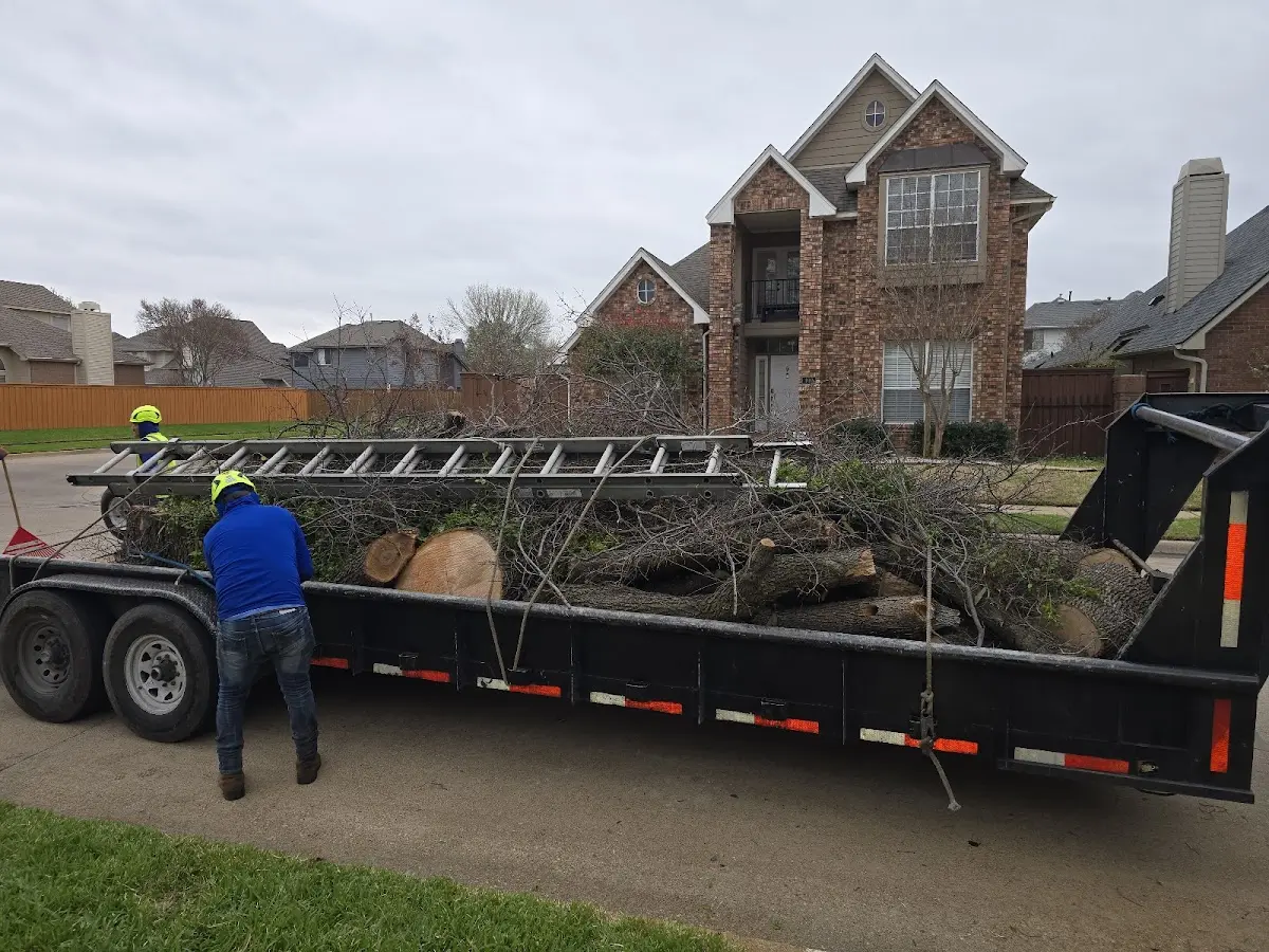 Expert Tree Fertilization with proper safety equipment in Kennan